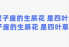 双子座的生辰花 是四叶草 双子座的生辰花 是四叶草花吗